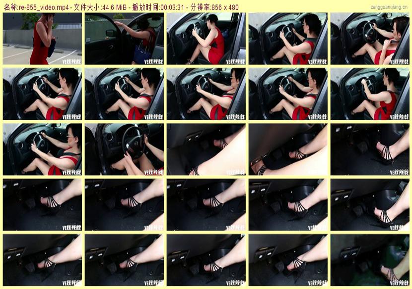 re-855_video
